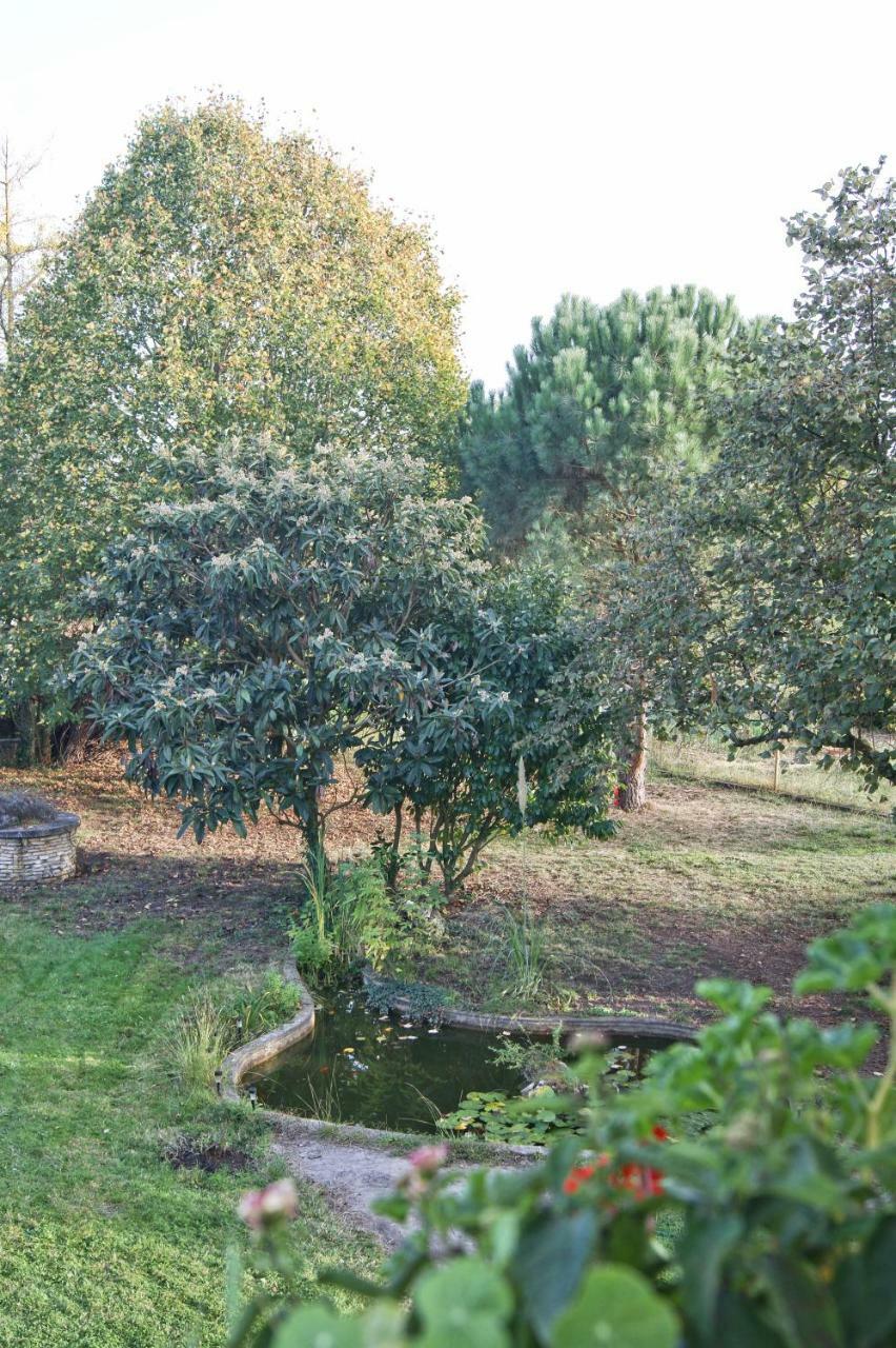 Le Grenier De Louisette Bed & Breakfast Libourne Exterior foto