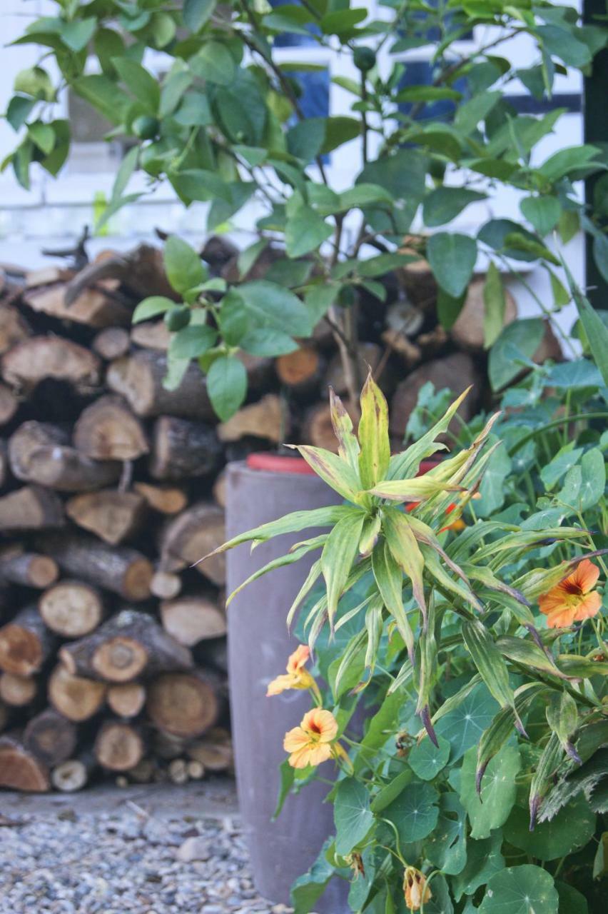 Le Grenier De Louisette Bed & Breakfast Libourne Exterior foto